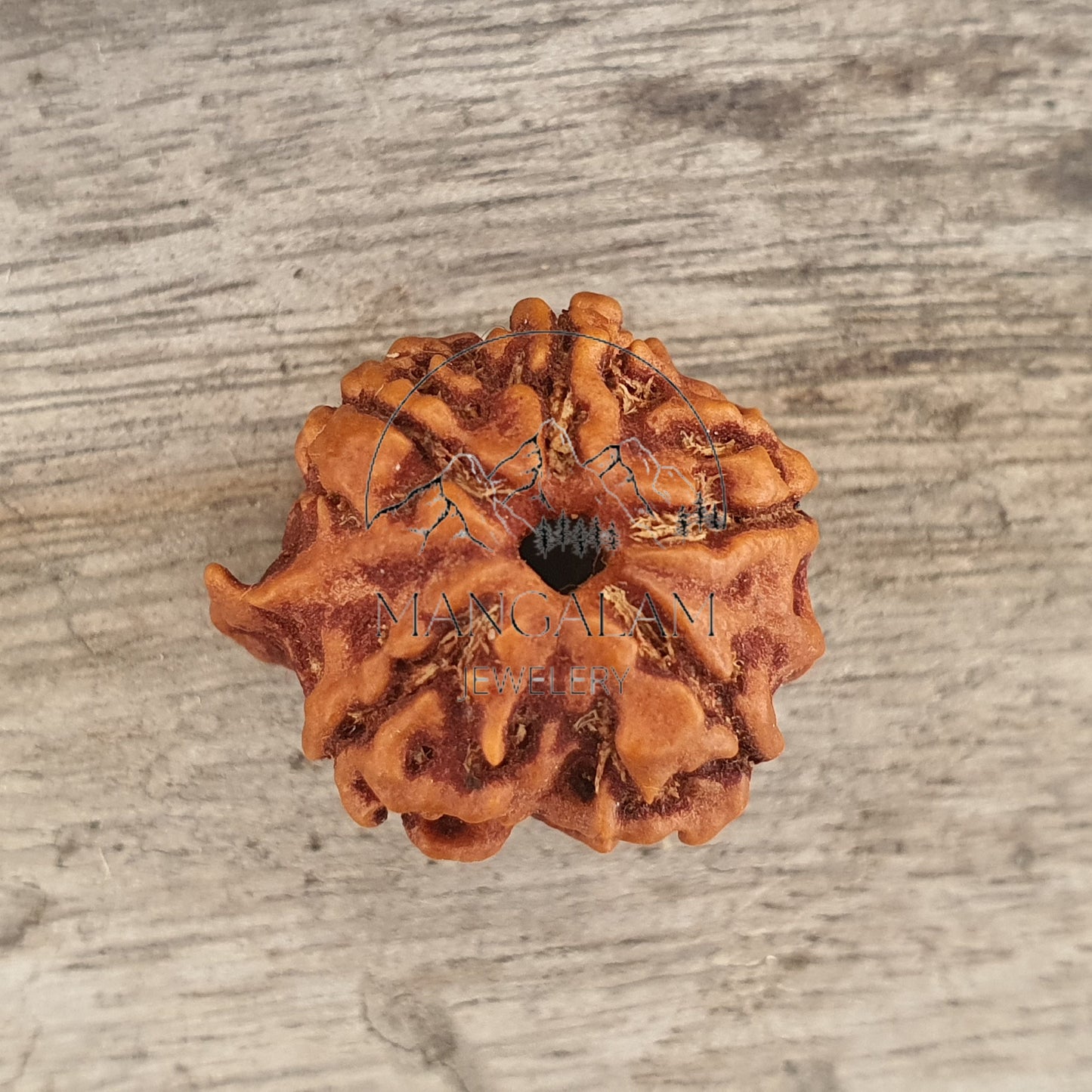 Ganesh Rudraksha • Large Ganesha Rudraksha Bead from Nepal • Five Face Ganesh Rudraksha • Ganesha Nepali Rudraksha Bead
