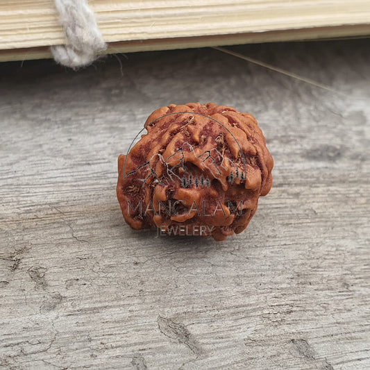 Ganesh Rudraksha • Large Ganesha Rudraksha Bead from Nepal • Five Face Ganesh Rudraksha • Ganesha Nepali Rudraksha Bead