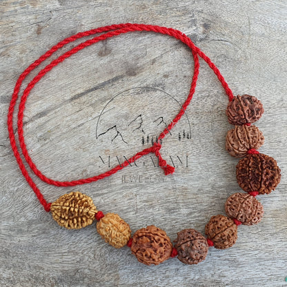 Rudraksha Kantha, Nepali Rudraksha Mala 2 - 10 Mukhi Kantha Spiritual Jewelery, Rudraksha Jewelery