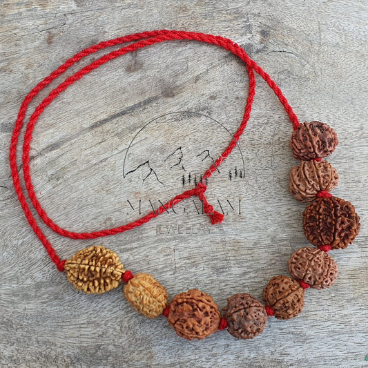 Rudraksha Kantha, Nepali Rudraksha Mala 2 - 10 Mukhi Kantha Spiritual Jewelery, Rudraksha Jewelery