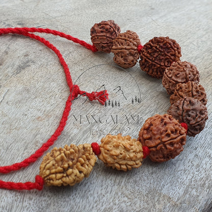 Rudraksha Kantha, Nepali Rudraksha Mala 2 - 10 Mukhi Kantha Spiritual Jewelery, Rudraksha Jewelery