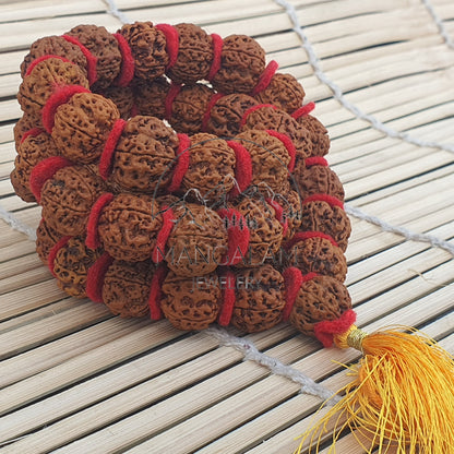 Nepali 5 Mukhi Rudraksha Kantha 54 Beads Mala Necklace, Large Rudraksha Seed Beads, Rudraksha Kantha Mala, Seed Prayer Mala, Spiritual Gifts