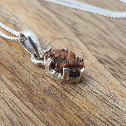1 Mukhi Rudraksha, One Face Rudraksha, 1 Mukhi Rudraksha Pendent, Indonasian Rudraksha,Rudraksha Pendent