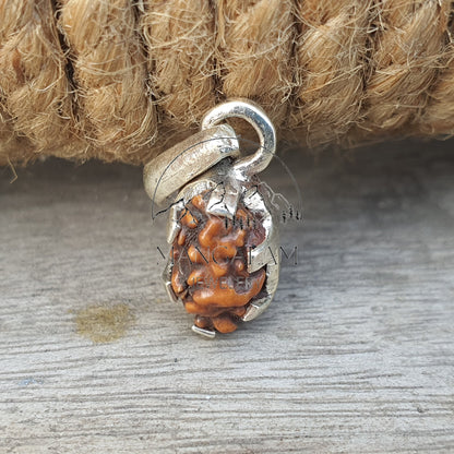 1 Mukhi Rudraksha, One Face Rudraksha, 1 Mukhi Rudraksha Pendent, Indonasian Rudraksha,Rudraksha Pendent