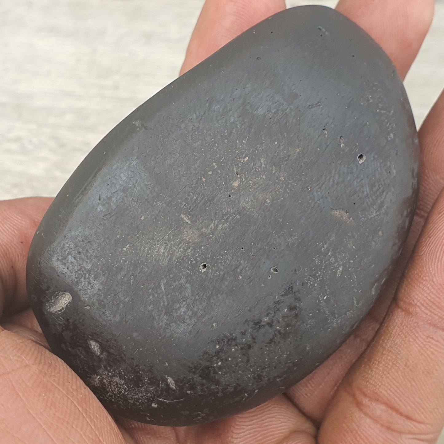 Narsimha Shaligram, Narsimha Saligram Stone - Gandaki River Nepal, Ritual Object, Pooja Item, Vishnu Puja