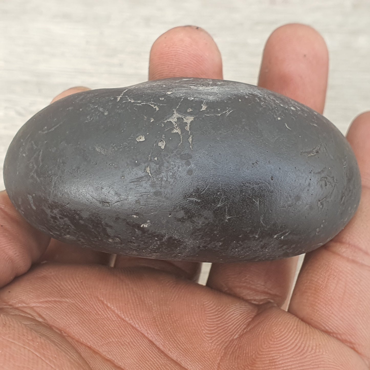 Narsimha Shaligram, Narsimha Saligram Stone - Gandaki River Nepal, Ritual Object, Pooja Item, Vishnu Puja