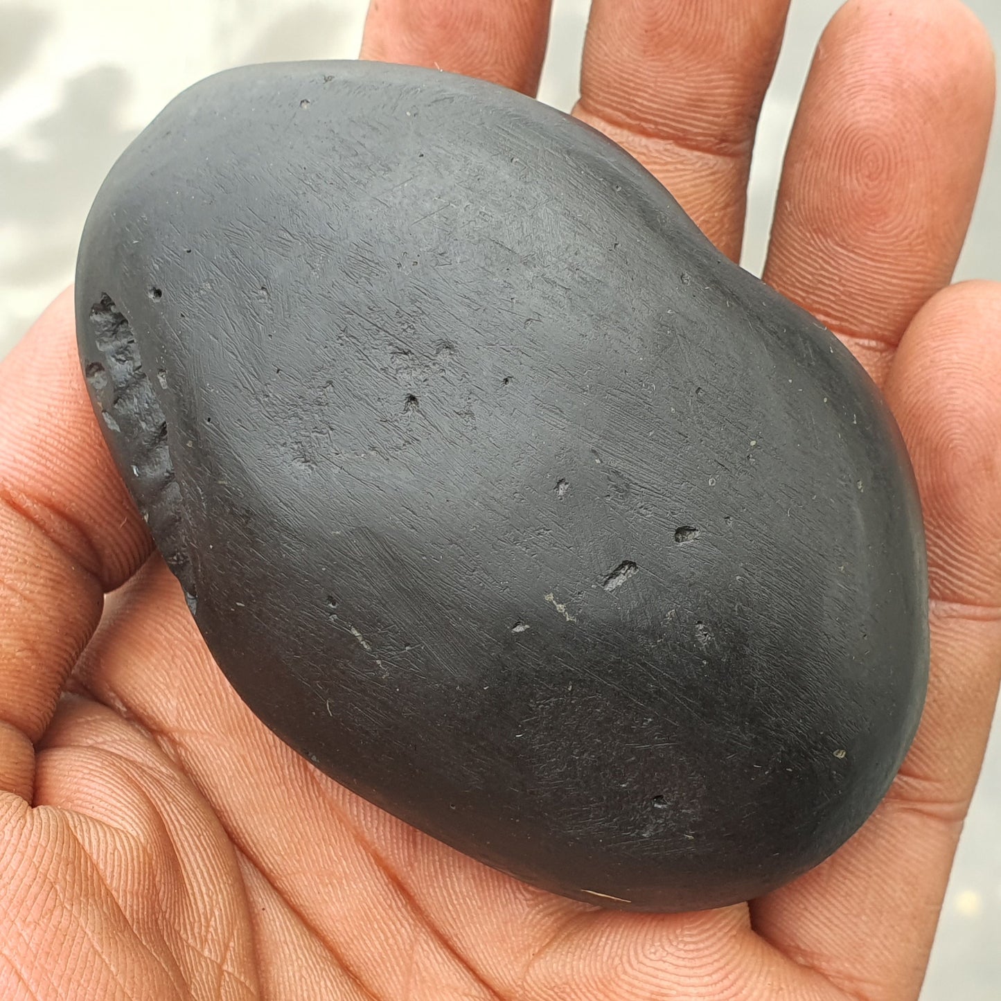 Golden Narsimha Shaligram • Shaligram Shila • Gandaki River Nepal • Shaligram Stone • Puja item • Religious Gift • Shaligram From Nepal