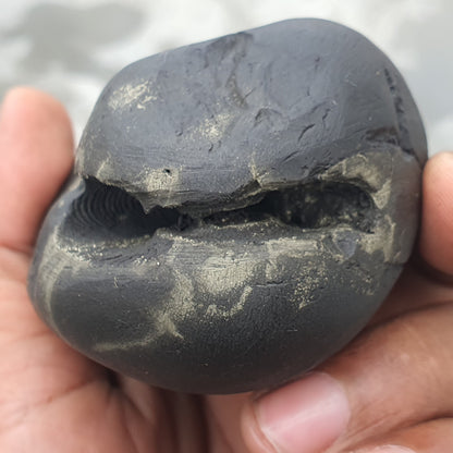 Double Chakra Big Size • Golden Narsimha Shaligram • Shaligram Shila • Gandaki River Nepal • Shaligram Stone • Shaligram From Nepal