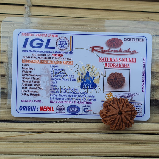 8 Mukhi Nepali Rudraksha Pendant - IGL Lab Certified, Spiritual Gifts, Yoga Pendant, Gift For Yoga Lover