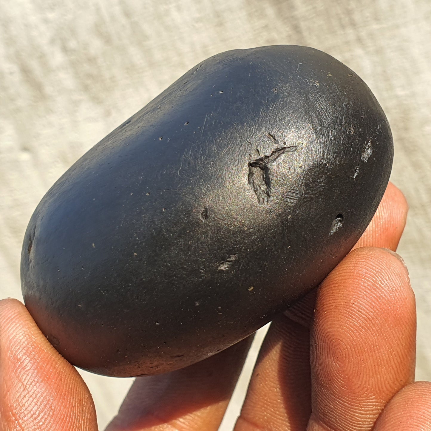 Golden Narsimha Shaligram • Shaligram Shila • Gandaki River Nepal • Shaligram Stone • Spiritual Gift • Religious Gift • Shaligram From Nepal