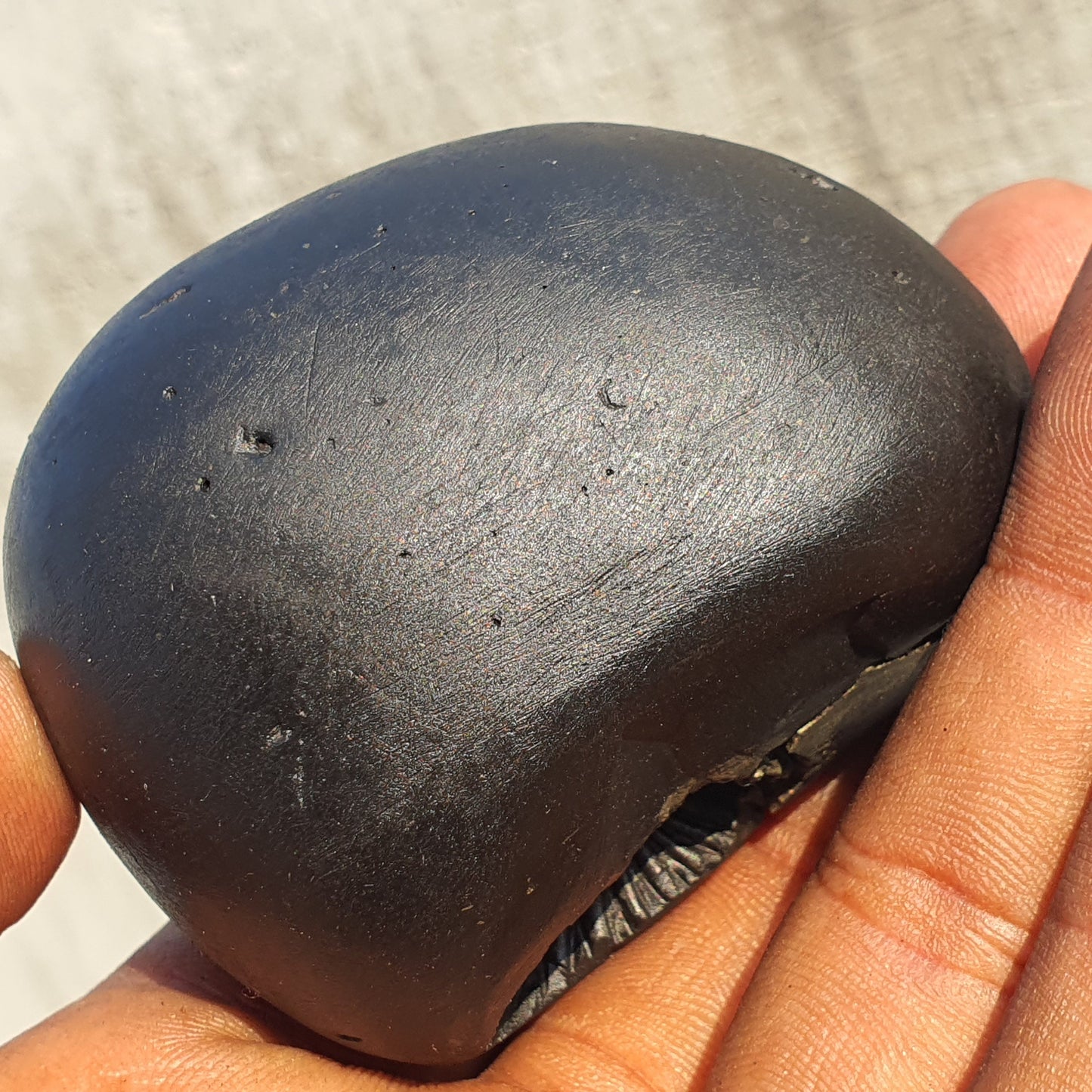 Golden Narsimha Shaligram • Shaligram Shila • Gandaki River Nepal • Shaligram Stone • Spiritual Gift • Religious Gift • Shaligram From Nepal