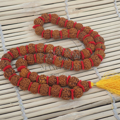 Nepali 5 Mukhi Rudraksha Kantha 54 Beads Mala Necklace, Large Rudraksha Seed Beads, Rudraksha Kantha Mala, Seed Prayer Mala, Spiritual Gifts