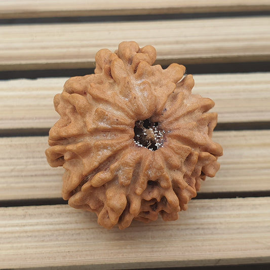 9 Mukhi Nepali Rudraksha Pendant - IGL Lab Certified in Sterling Silver, Spiritual Gifts, Yoga Pendant