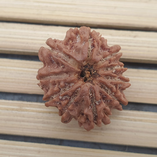 10 Mukhi Nepal Rudraksha, Ten Face, Lord Vishnu In 925 Silver Sterling Pendant, Natural Rudraksha, Spiritual Gifts, Yoga Pendant