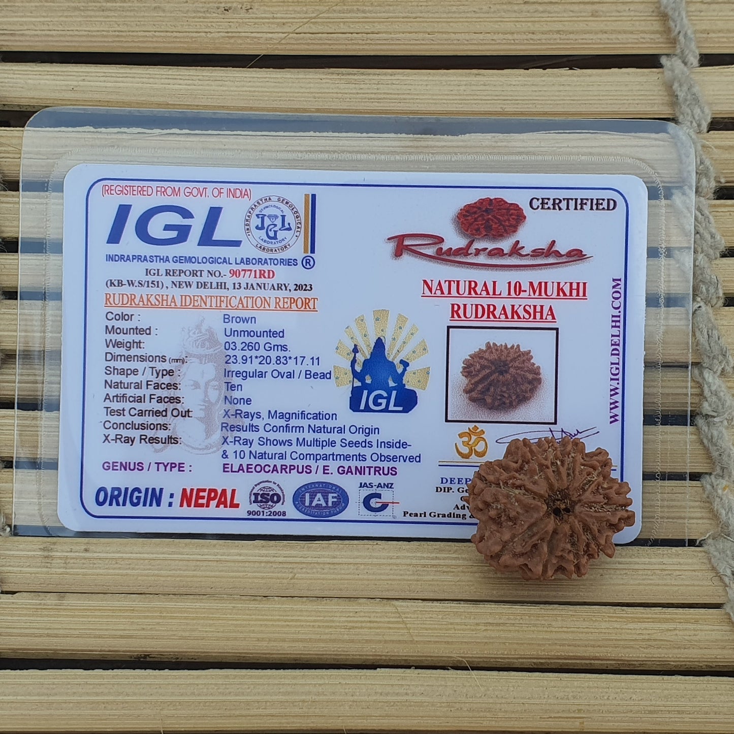 10 Mukhi Nepal Rudraksha, Ten Face, Lord Vishnu In 925 Silver Sterling Pendant, Natural Rudraksha, Spiritual Gifts, Yoga Pendant