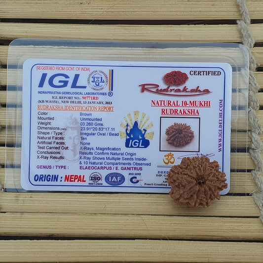 10 Mukhi Nepal Rudraksha, Ten Face, Lord Vishnu In 925 Silver Sterling Pendant, Natural Rudraksha, Spiritual Gifts, Yoga Pendant