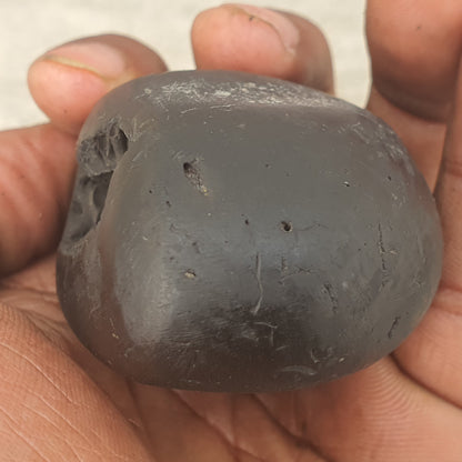 Narsimha Shaligram, Narsimha Saligram Stone - Gandaki River Nepal, Ritual Object, Pooja Item, Vishnu Puja