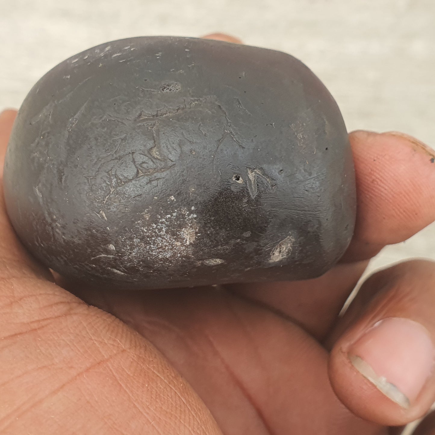 Narsimha Shaligram, Narsimha Saligram Stone - Gandaki River Nepal, Ritual Object, Pooja Item, Vishnu Puja