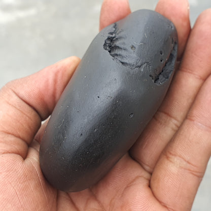 Golden Narsimha Shaligram • Shaligram Shila • Gandaki River Nepal • Shaligram Stone • Puja item • Religious Gift • Shaligram From Nepal
