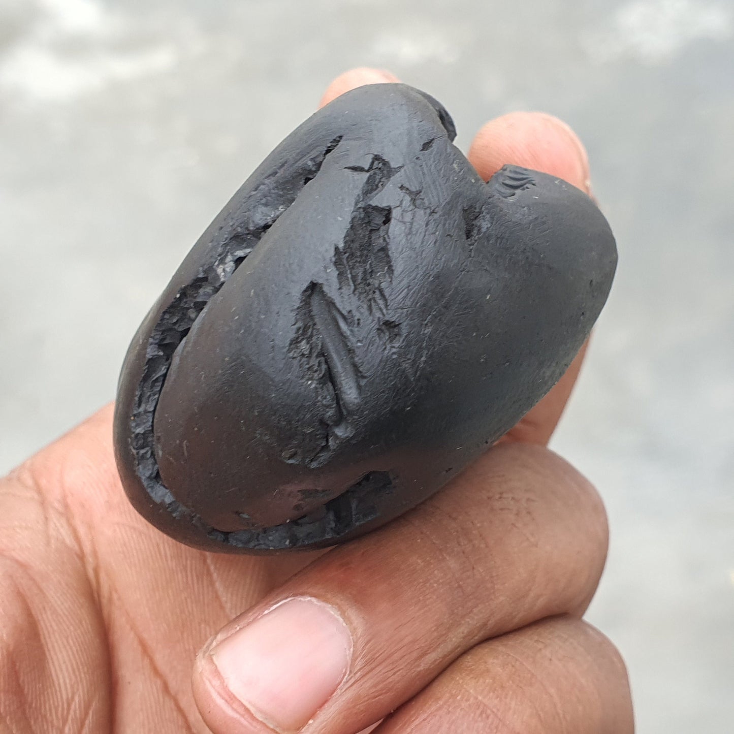 Golden Narsimha Shaligram • Shaligram Shila • Gandaki River Nepal • Shaligram Stone • Puja item • Religious Gift • Shaligram From Nepal