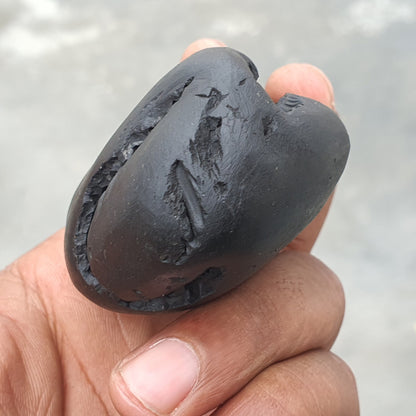 Golden Narsimha Shaligram • Shaligram Shila • Gandaki River Nepal • Shaligram Stone • Puja item • Religious Gift • Shaligram From Nepal