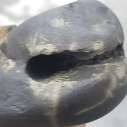 Double Chakra Big Size • Golden Narsimha Shaligram • Shaligram Shila • Gandaki River Nepal • Shaligram Stone • Shaligram From Nepal