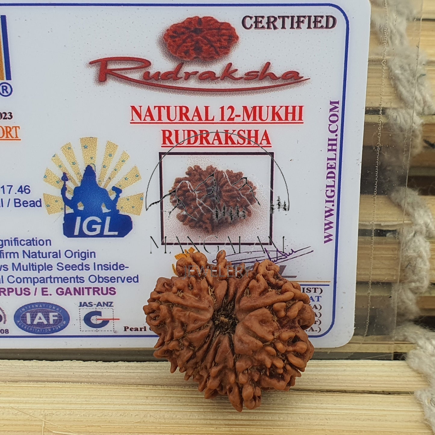 12 Mukhi Nepalese Rudraksha Pendant -Lab Certified in Sterling Silver, Twelve Face Rudraksh, Rudraksha Beads, Spiritual Gifts, Yoga Pendant