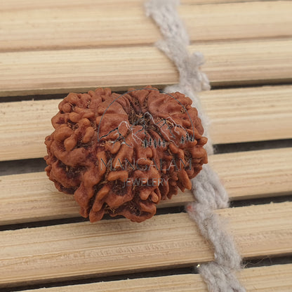 12 Mukhi Nepalese Rudraksha Pendant -Lab Certified in Sterling Silver, Twelve Face Rudraksh, Rudraksha Beads, Spiritual Gifts, Yoga Pendant