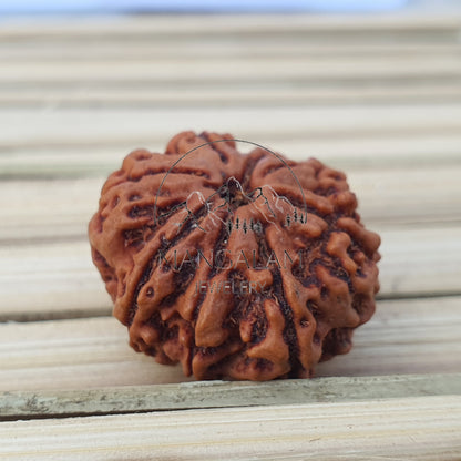8 Mukhi Nepali Rudraksha Pendant - IGL Lab Certified, Spiritual Gifts, Yoga Pendant, Gift For Yoga Lover