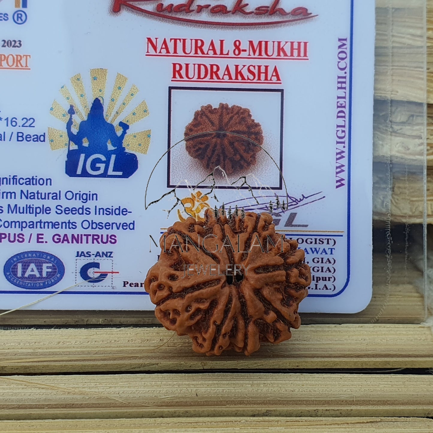 8 Mukhi Nepali Rudraksha Pendant - IGL Lab Certified, Spiritual Gifts, Yoga Pendant, Gift For Yoga Lover