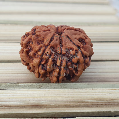 8 Mukhi Nepali Rudraksha Pendant - IGL Lab Certified, Spiritual Gifts, Yoga Pendant, Gift For Yoga Lover