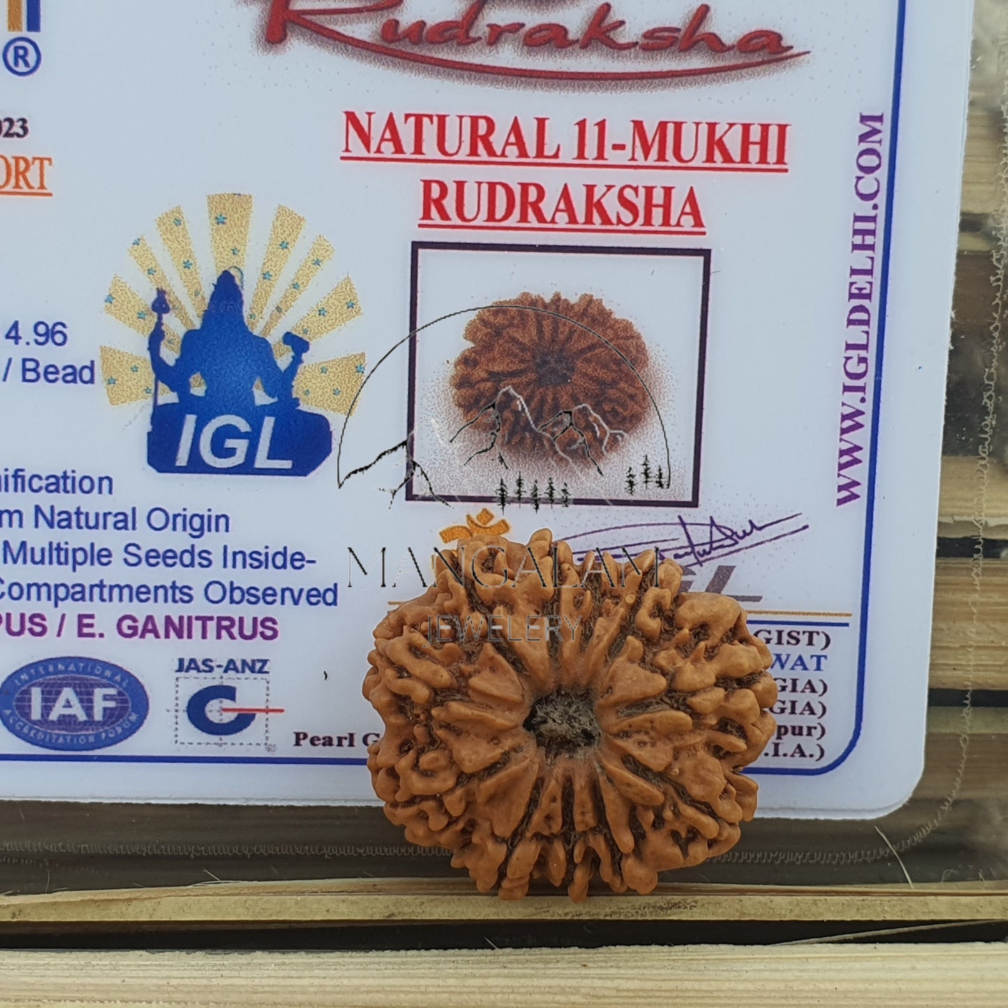 11 Mukhi Nepali Rudraksha Pendant -IGL Lab Certified in Sterling Silver, Spiritual Gifts, Yoga Pendant, Handmade Jewelry
