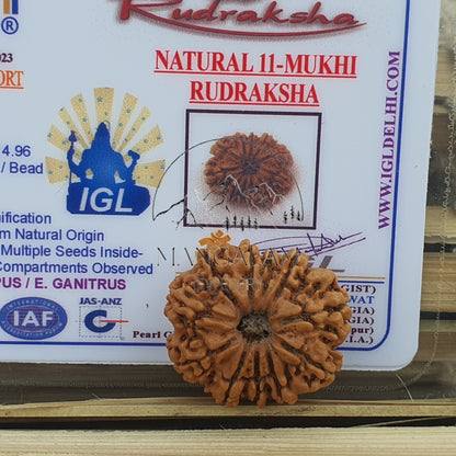 11 Mukhi Nepali Rudraksha Pendant -IGL Lab Certified in Sterling Silver, Spiritual Gifts, Yoga Pendant, Handmade Jewelry