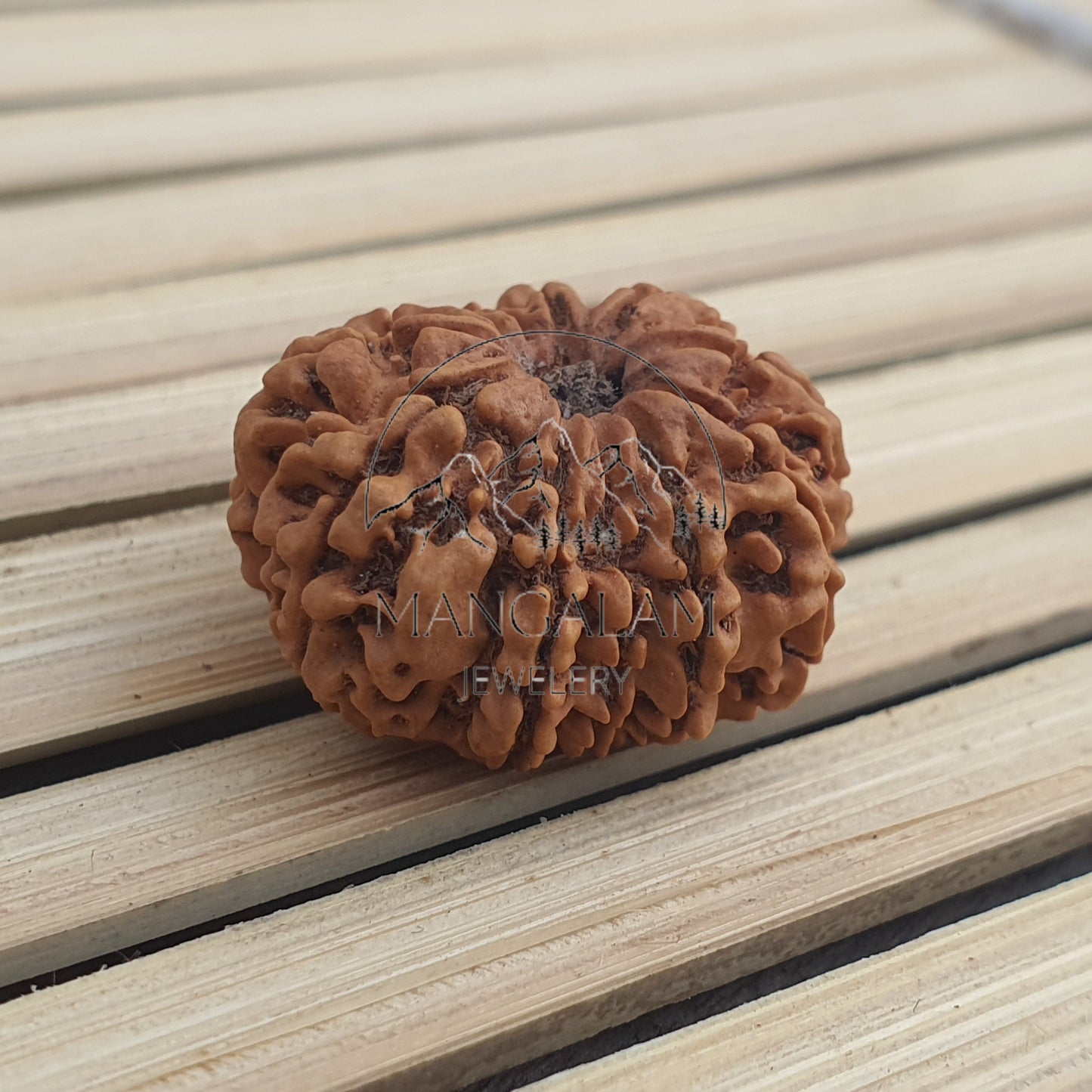 11 Mukhi Nepali Rudraksha Pendant -IGL Lab Certified in Sterling Silver, Spiritual Gifts, Yoga Pendant, Handmade Jewelry