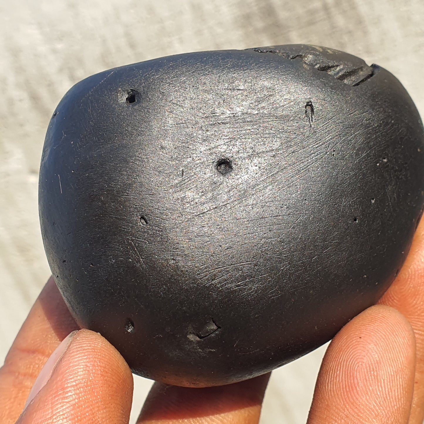 Golden Narsimha Shaligram • Shaligram Shila • Gandaki River Nepal • Shaligram Stone • Spiritual Gift • Religious Gift • Shaligram From Nepal