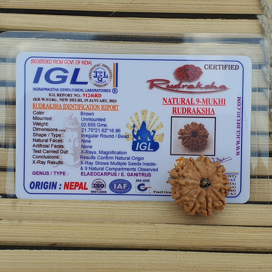 9 Mukhi Nepali Rudraksha Pendant - IGL Lab Certified in Sterling Silver, Spiritual Gifts, Yoga Pendant