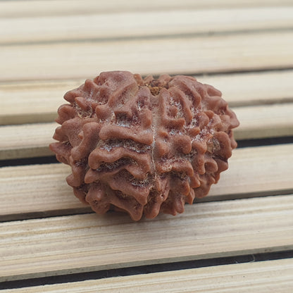 10 Mukhi Nepal Rudraksha, Ten Face, Lord Vishnu In 925 Silver Sterling Pendant, Natural Rudraksha, Spiritual Gifts, Yoga Pendant