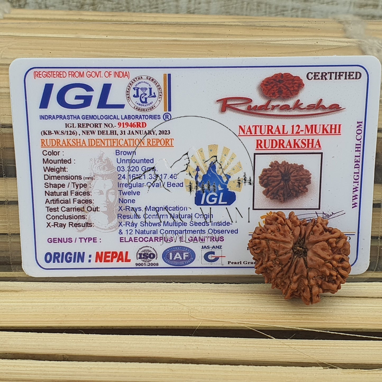 12 Mukhi Nepalese Rudraksha Pendant -Lab Certified in Sterling Silver, Twelve Face Rudraksh, Rudraksha Beads, Spiritual Gifts, Yoga Pendant