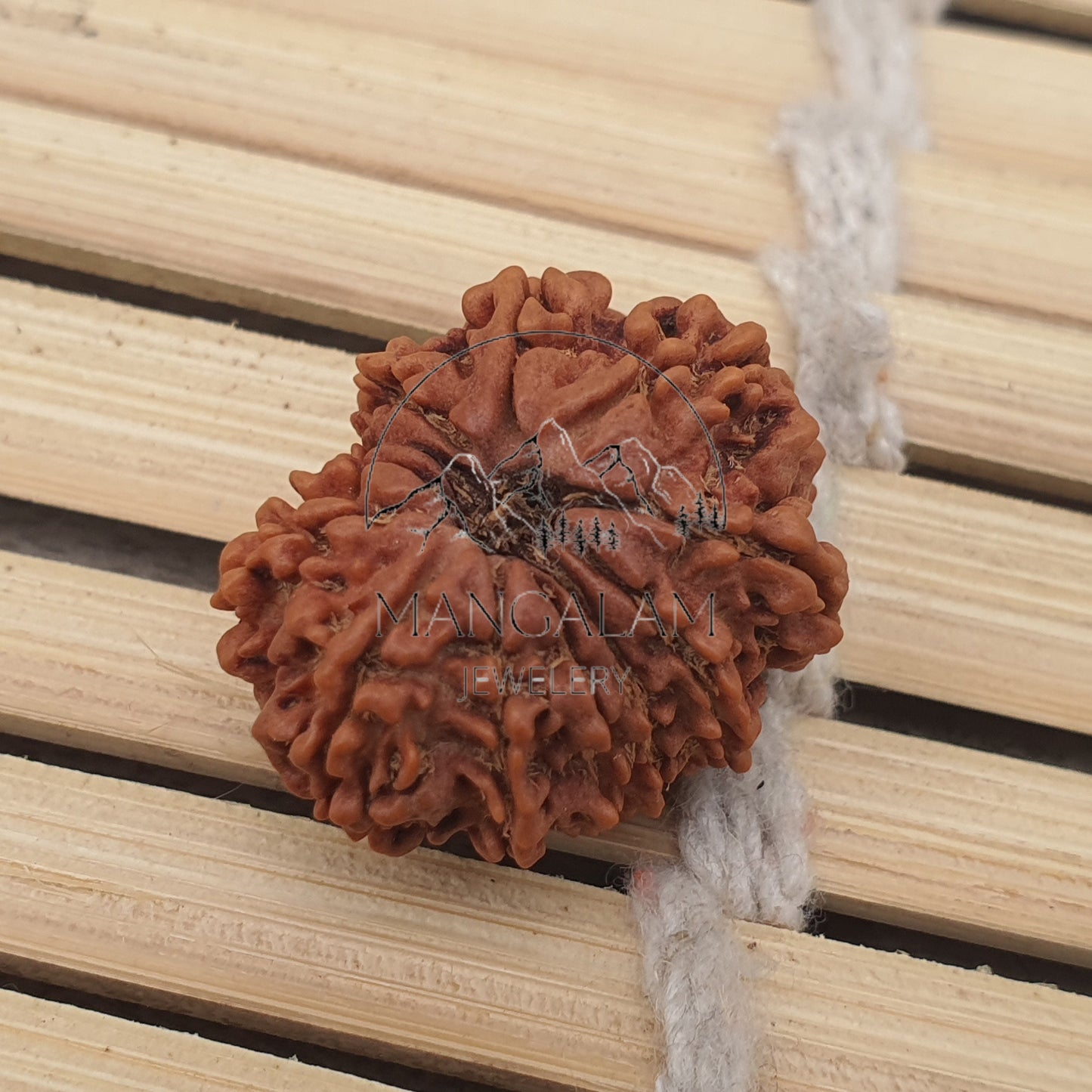 12 Mukhi Nepalese Rudraksha Pendant -Lab Certified in Sterling Silver, Twelve Face Rudraksh, Rudraksha Beads, Spiritual Gifts, Yoga Pendant