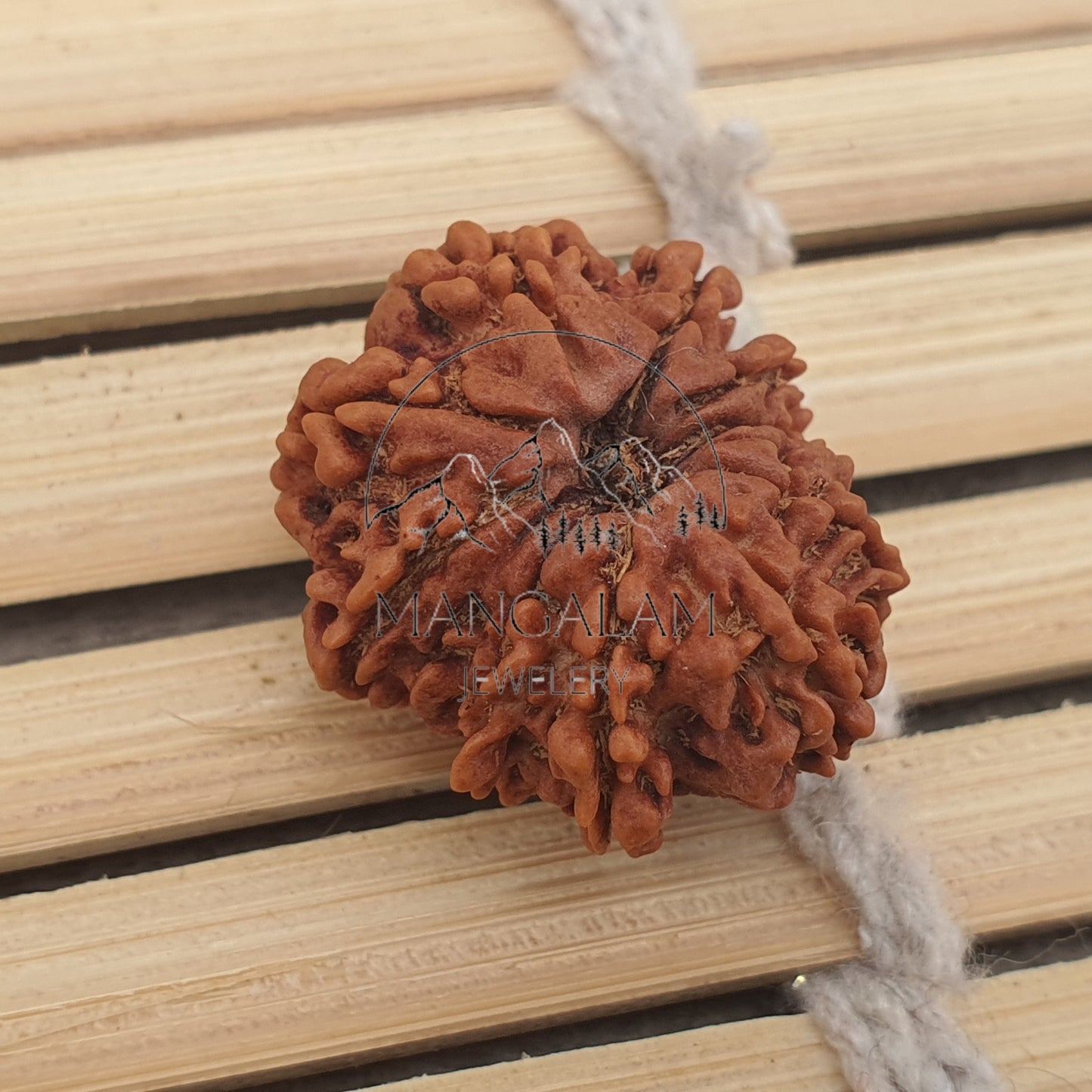 12 Mukhi Nepalese Rudraksha Pendant -Lab Certified in Sterling Silver, Twelve Face Rudraksh, Rudraksha Beads, Spiritual Gifts, Yoga Pendant