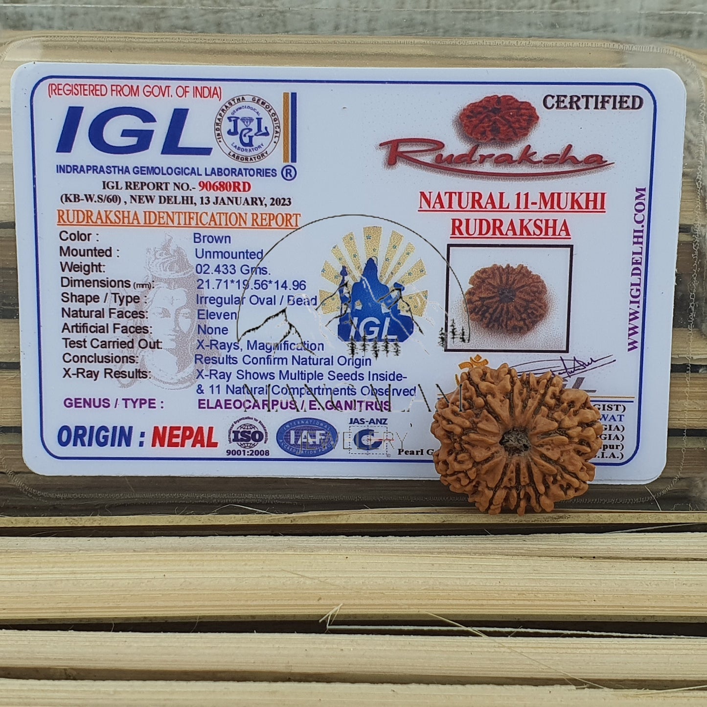11 Mukhi Nepali Rudraksha Pendant -IGL Lab Certified in Sterling Silver, Spiritual Gifts, Yoga Pendant, Handmade Jewelry