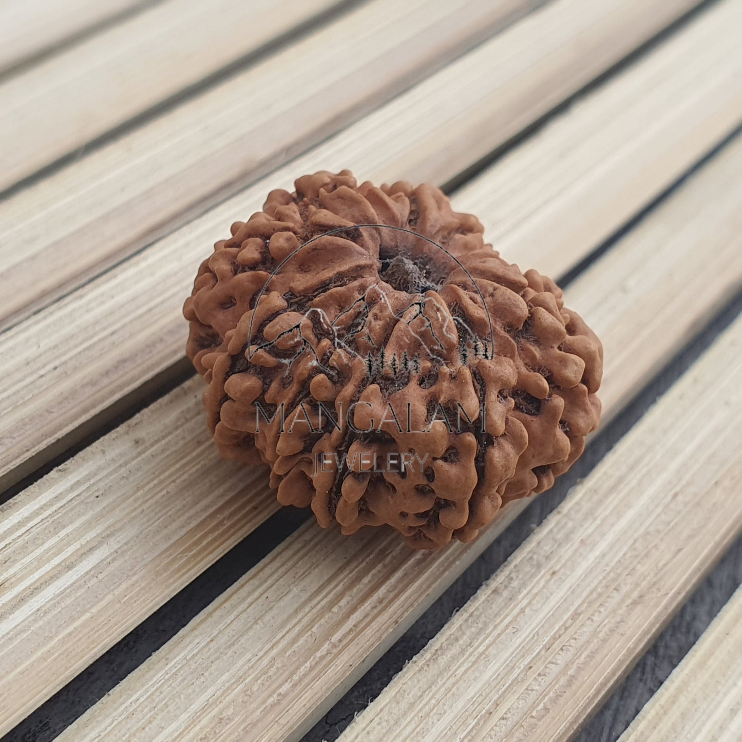11 Mukhi Nepali Rudraksha Pendant -IGL Lab Certified in Sterling Silver, Spiritual Gifts, Yoga Pendant, Handmade Jewelry