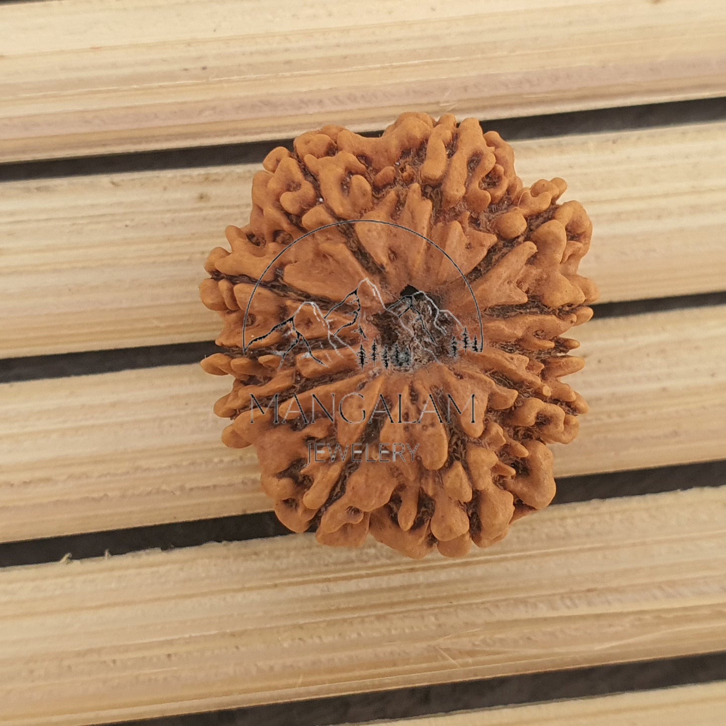 11 Mukhi Nepali Rudraksha Pendant -IGL Lab Certified in Sterling Silver, Spiritual Gifts, Yoga Pendant, Handmade Jewelry