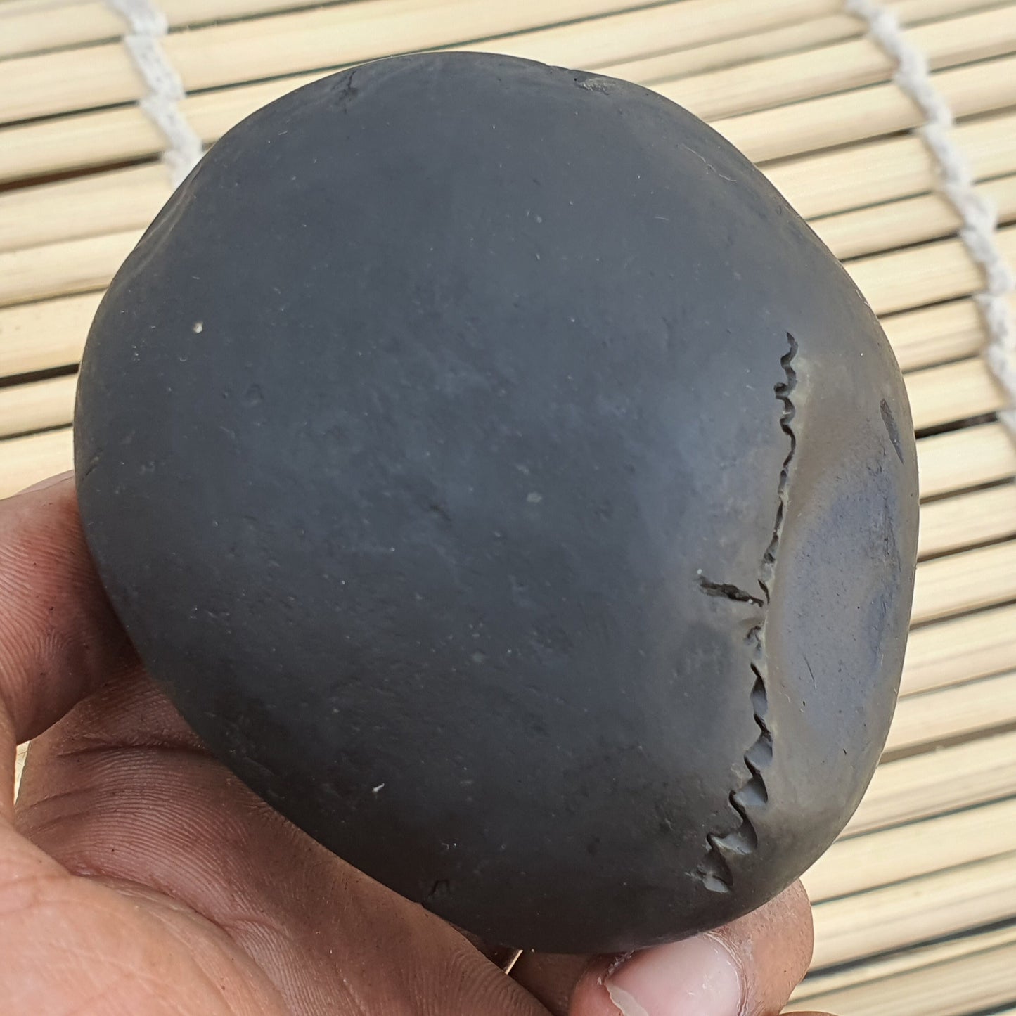 Big Size Golden Narsimha Shaligram, Sudeshan Saligram Stone - Gandaki River Nepal, Ritual Object, Pooja Item, Vishnu Puja