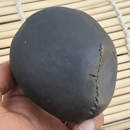 Big Size Golden Narsimha Shaligram, Sudeshan Saligram Stone - Gandaki River Nepal, Ritual Object, Pooja Item, Vishnu Puja