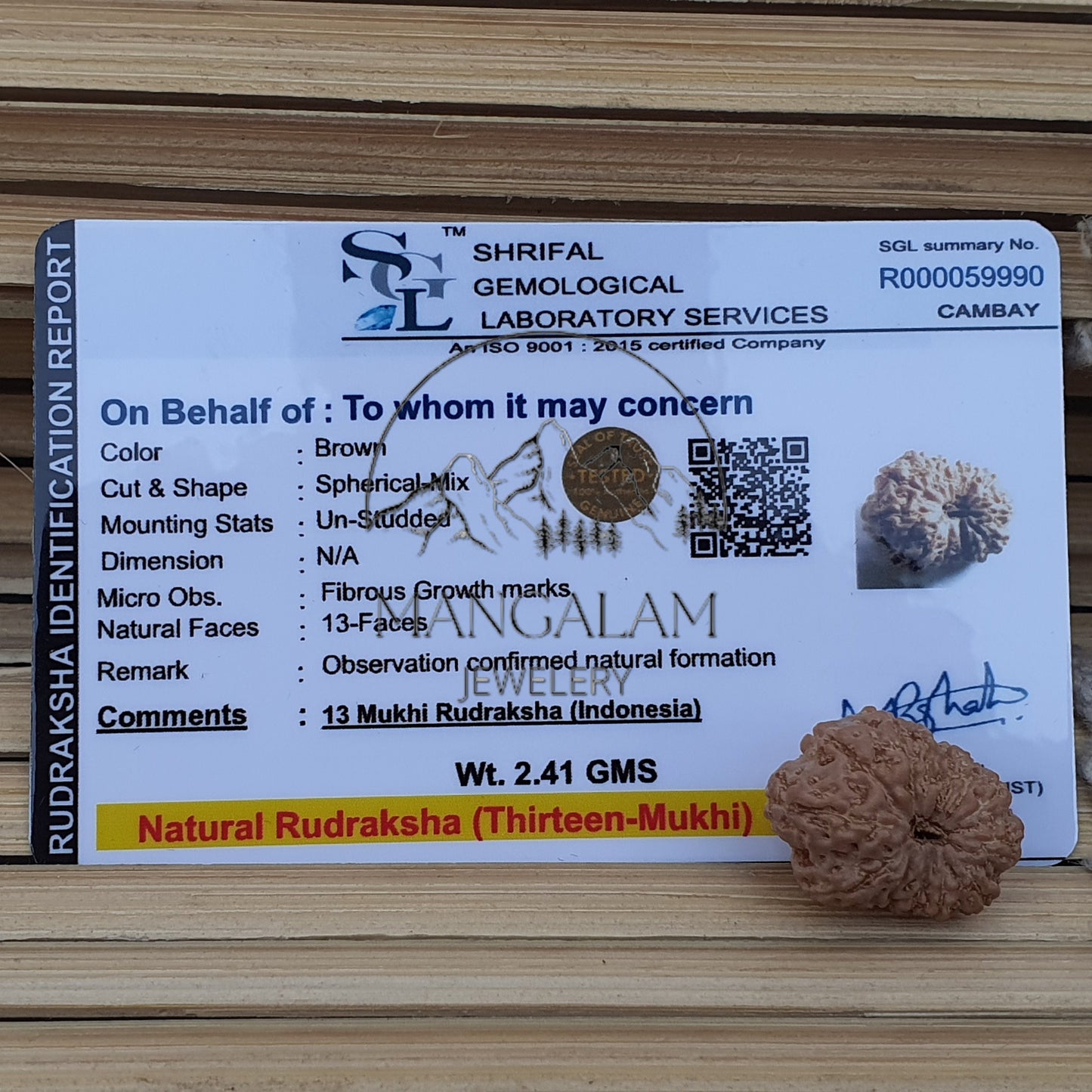 13 Mukhi Rudraksha Pendant - Lab Certified in Sterling Silver, Gift For Yoga Lover, Yoga Pendant