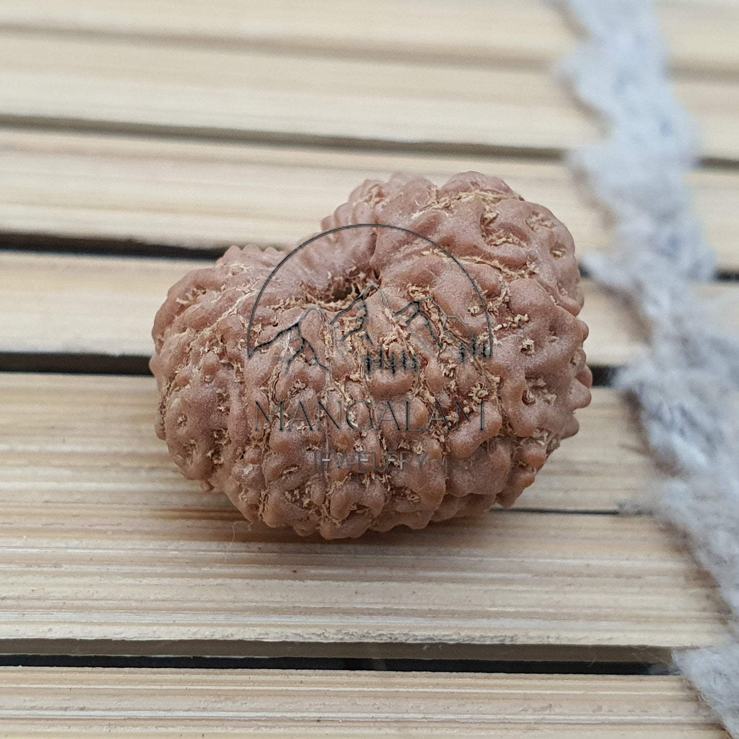 13 Mukhi Rudraksha Pendant - Lab Certified in Sterling Silver, Gift For Yoga Lover, Yoga Pendant