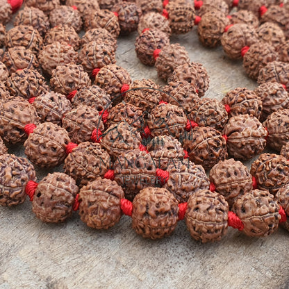 Authentic 5 Mukhi Nepali Rudraksha Mala 12MM- Lab Certified, Five Face Rudraksha Mala, 108+1 Beads, Nepalese Rudraksha Mala
