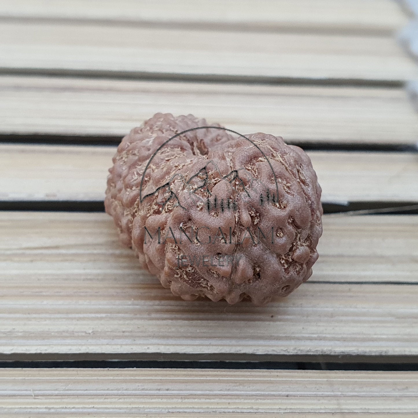 13 Mukhi Rudraksha Pendant - Lab Certified in Sterling Silver, Gift For Yoga Lover, Yoga Pendant