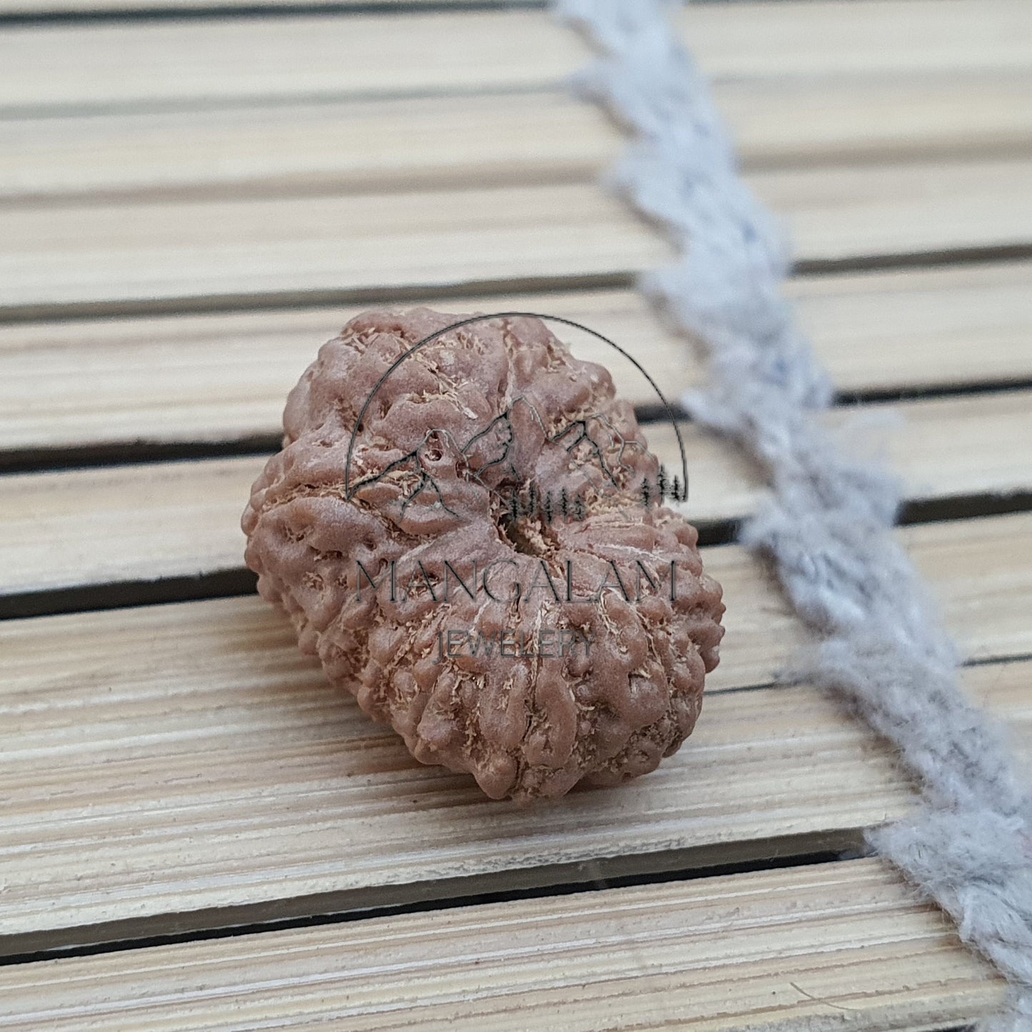 13 Mukhi Rudraksha Pendant - Lab Certified in Sterling Silver, Gift For Yoga Lover, Yoga Pendant